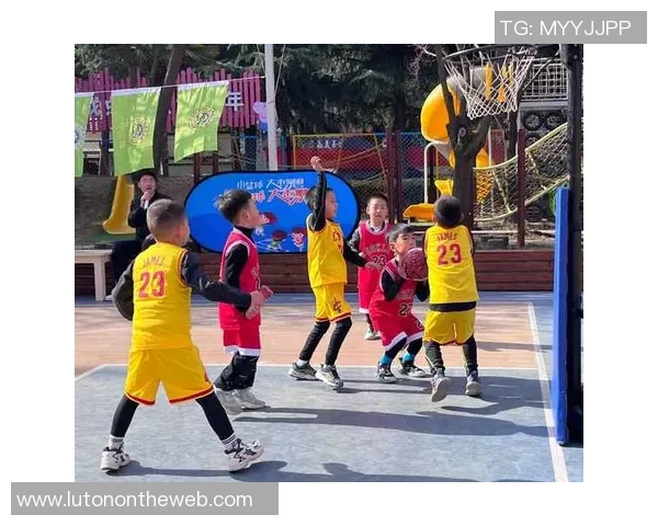 中班户外活动篮球课的趣味探索与团队合作体验分享